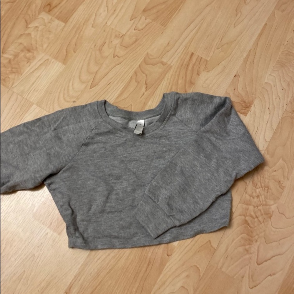 American apparel grey crop top sweater long sleeve